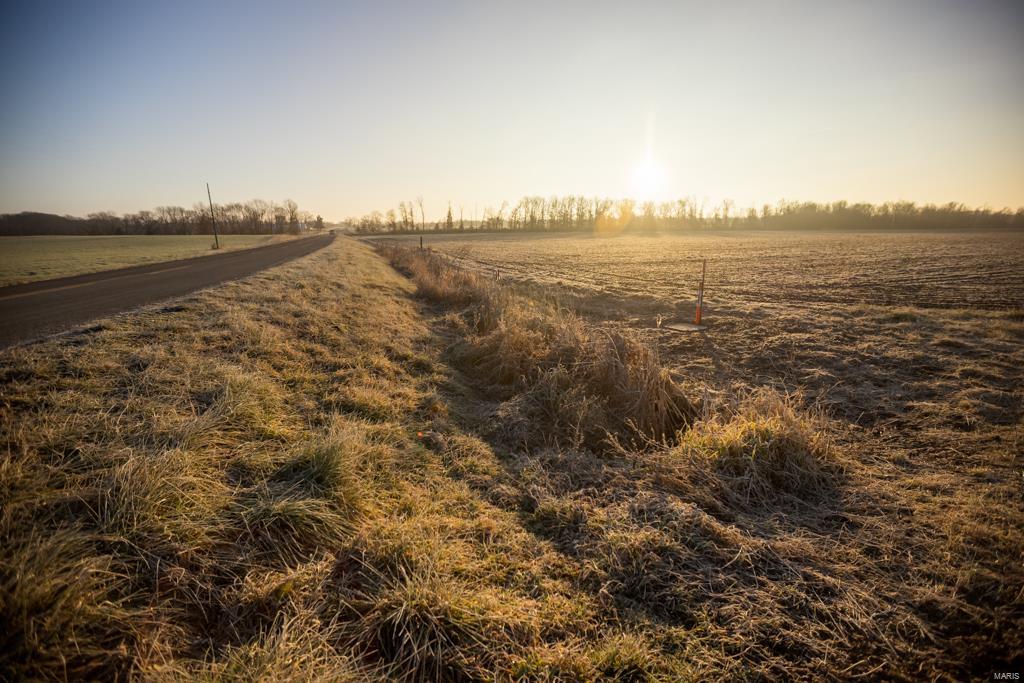 no - Farm