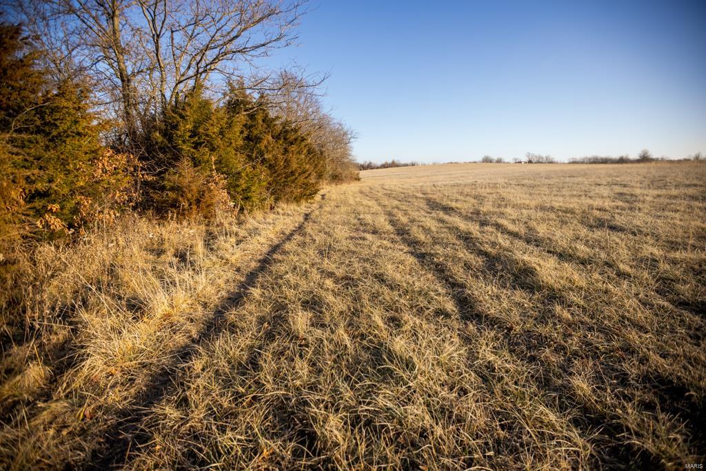 no - Farm