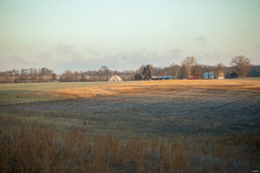 no - Farm