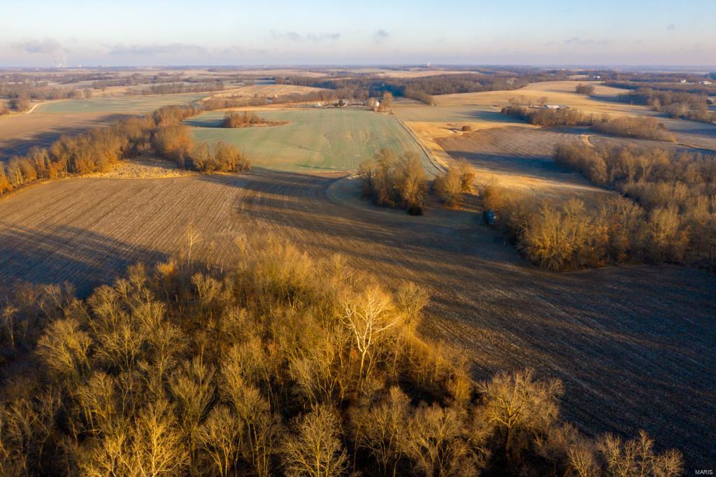 no - Farm