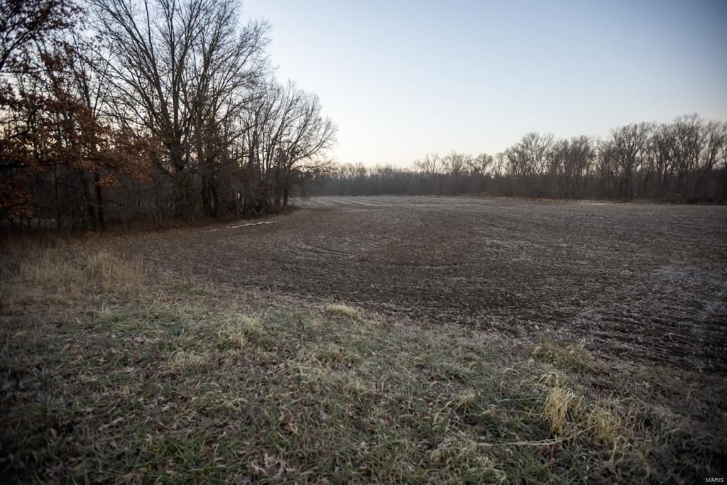 no - Farm