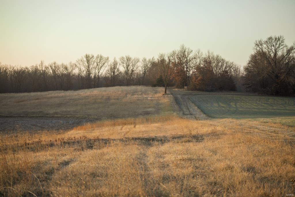 no - Farm