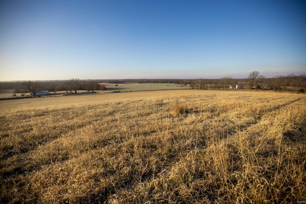 no - Farm