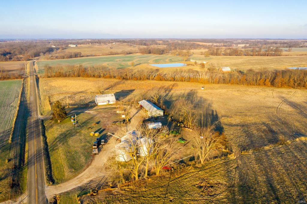 no - Farm
