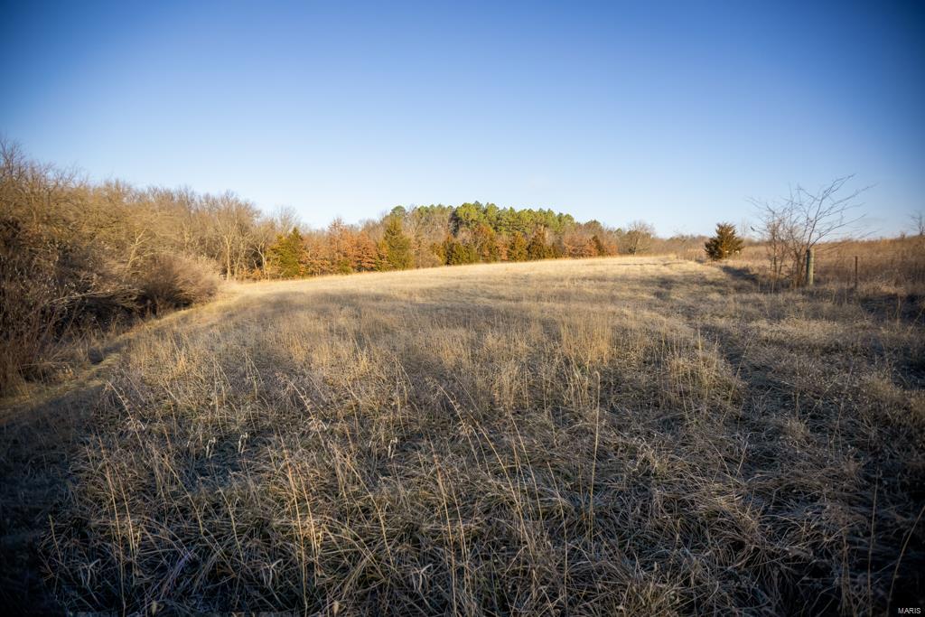 no - Farm