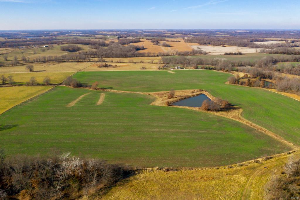 no - Farm