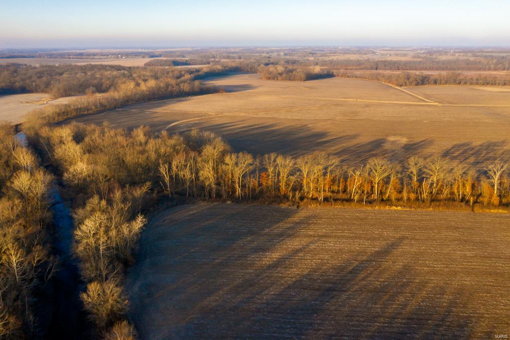 no - Farm