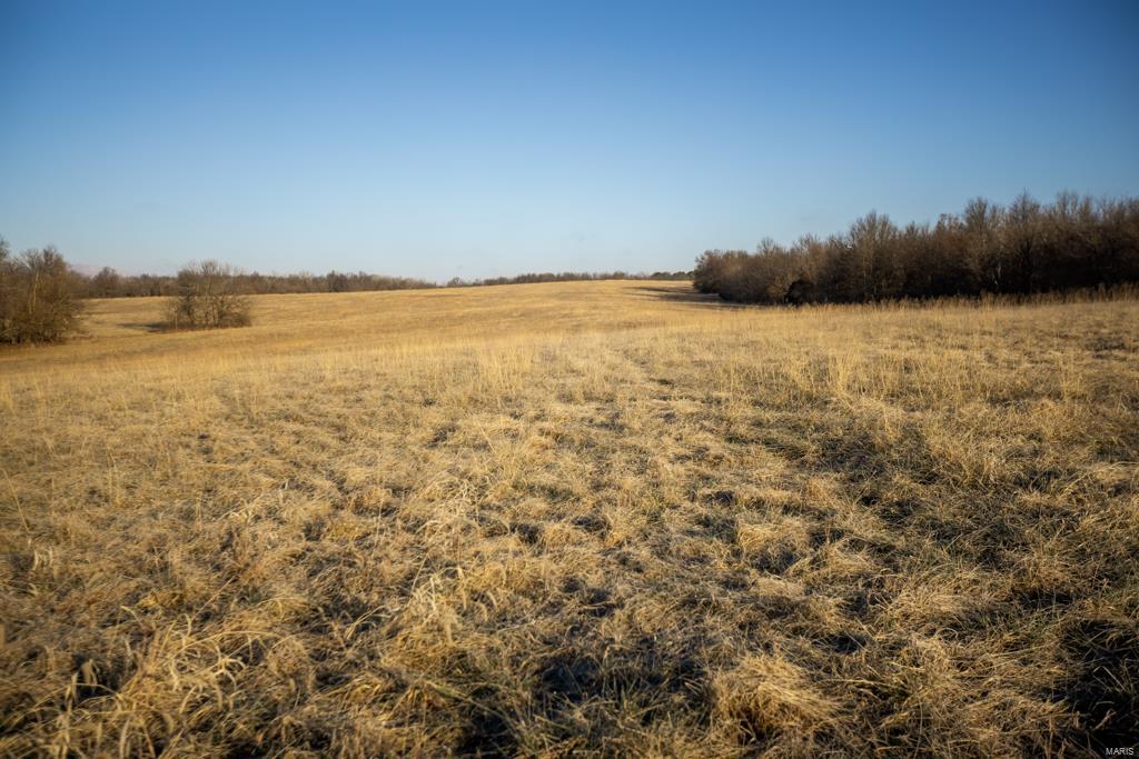 no - Farm
