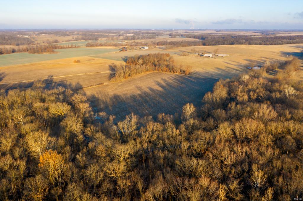 no - Farm