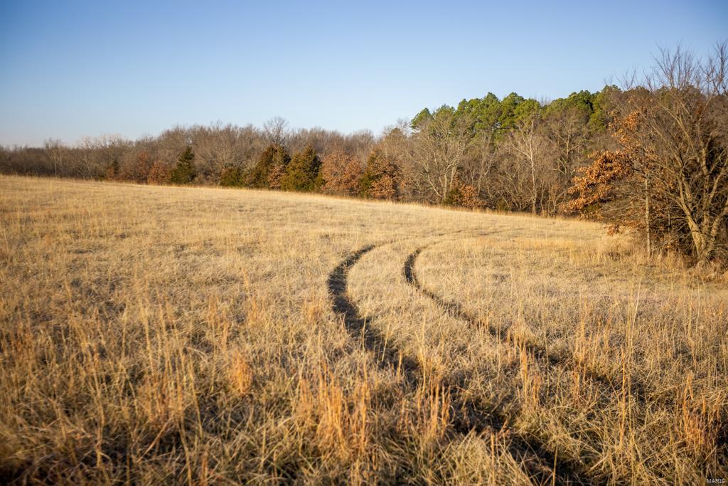no - Farm