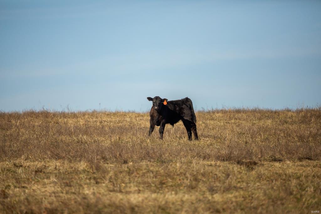 no - Farm