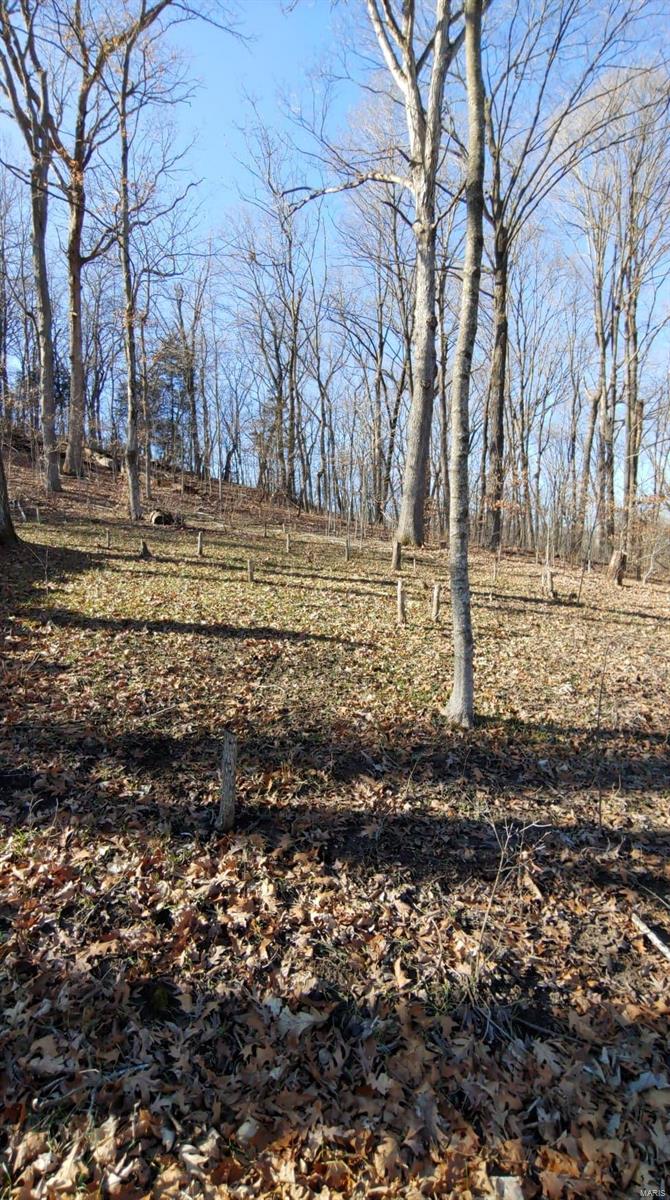 Gorgeous views await you on this 4+ wooded acres. This property offers lots of mature trees with multiple areas to build the home of your dreams in a beautiful country setting. Enjoy all the wildlife this property has to offer.  Minutes to Katy Trail and bike to the wineries and quaint shops. Located in the Washington School District and minutes from Beautiful downtown Marthasville. The charming towns of Augusta and Washington are nearby. Gas stations, banks, hospital and schools all within minutes. Here is your opportunity to build your dream home and enjoy all nature has to offer!