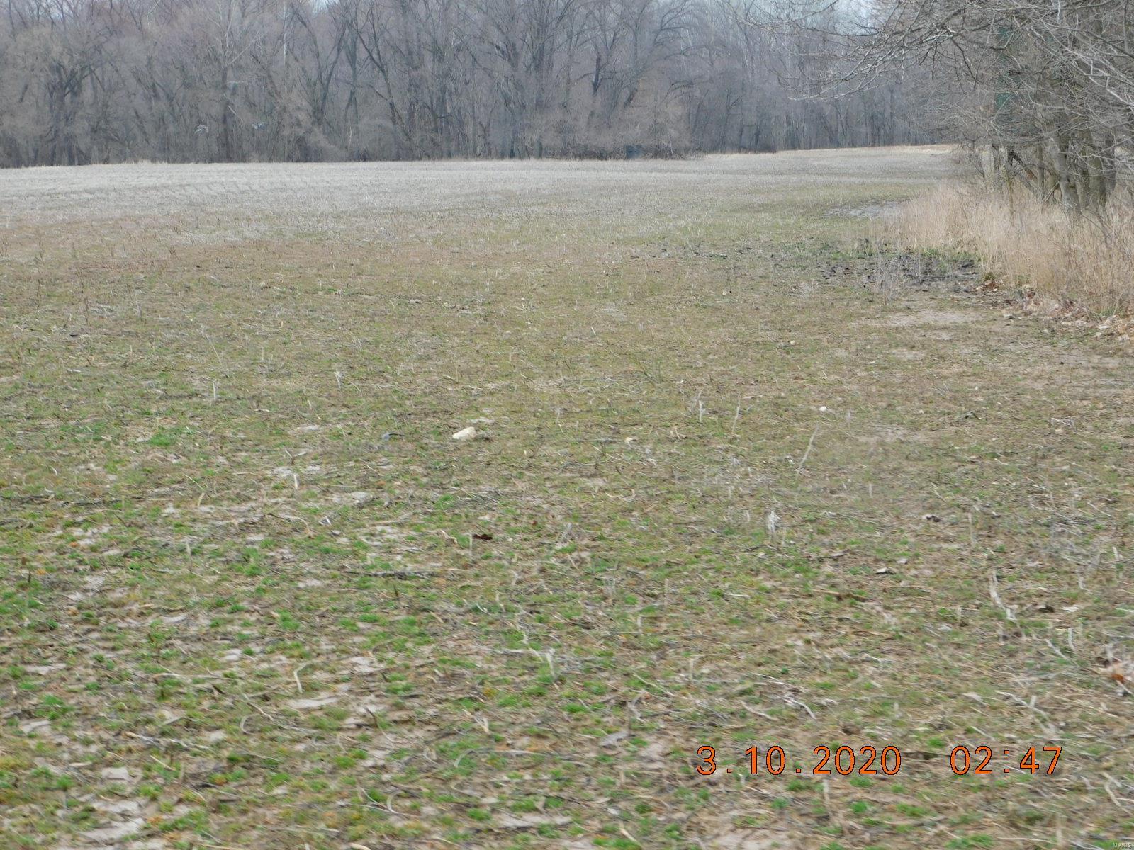 Boone County - Farm