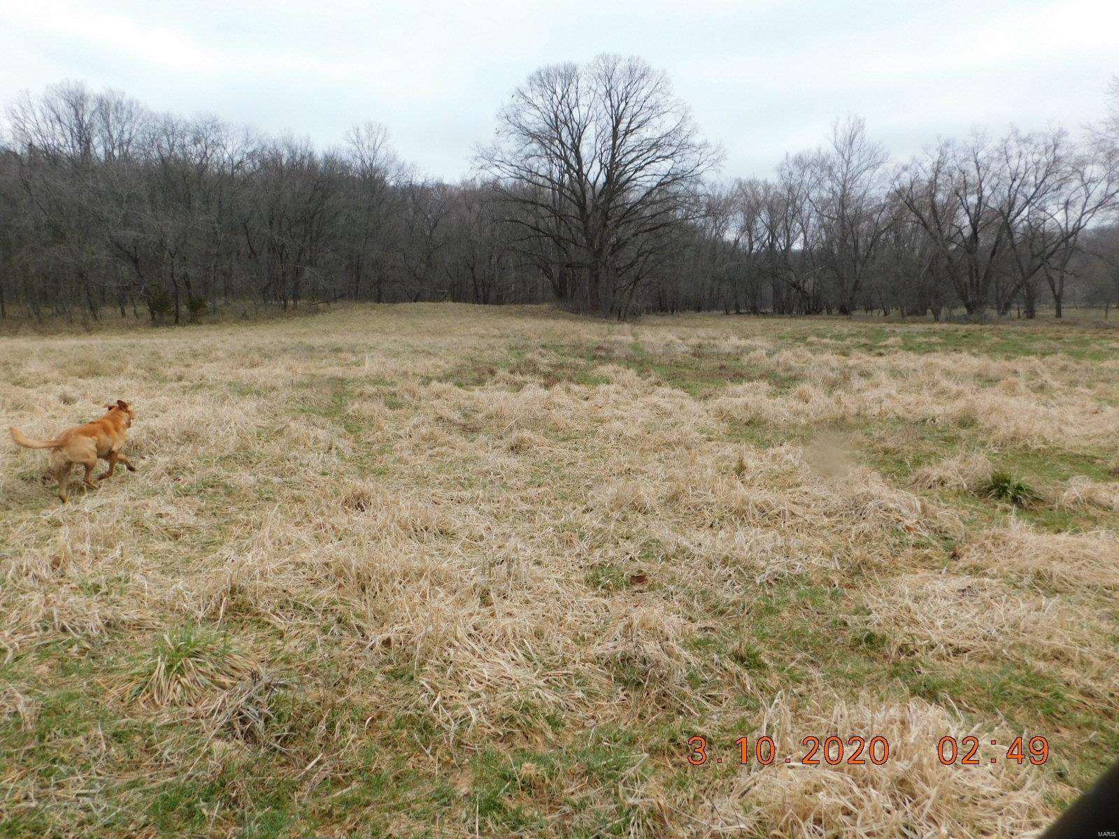 Boone County - Farm
