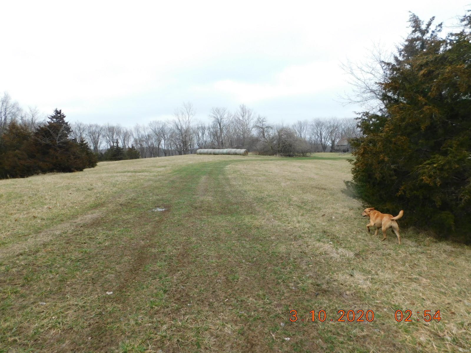 Boone County - Farm