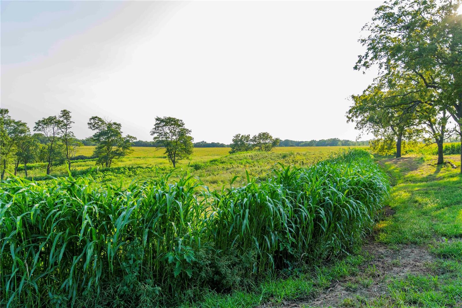 N/A - Farm