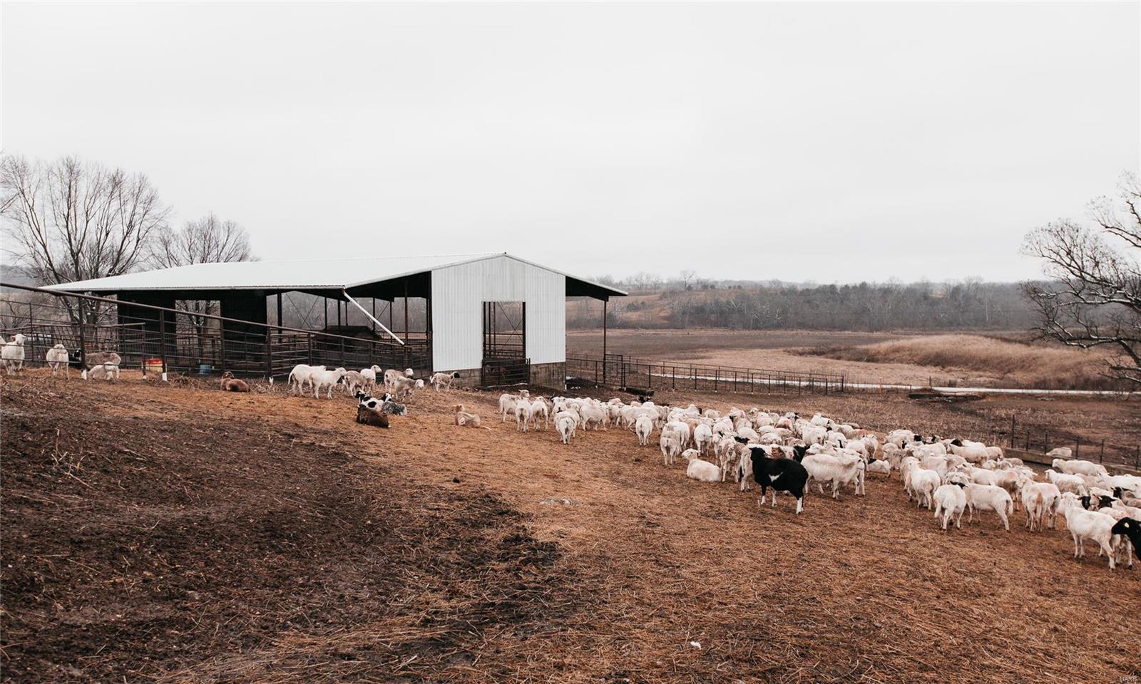 N/A - Farm