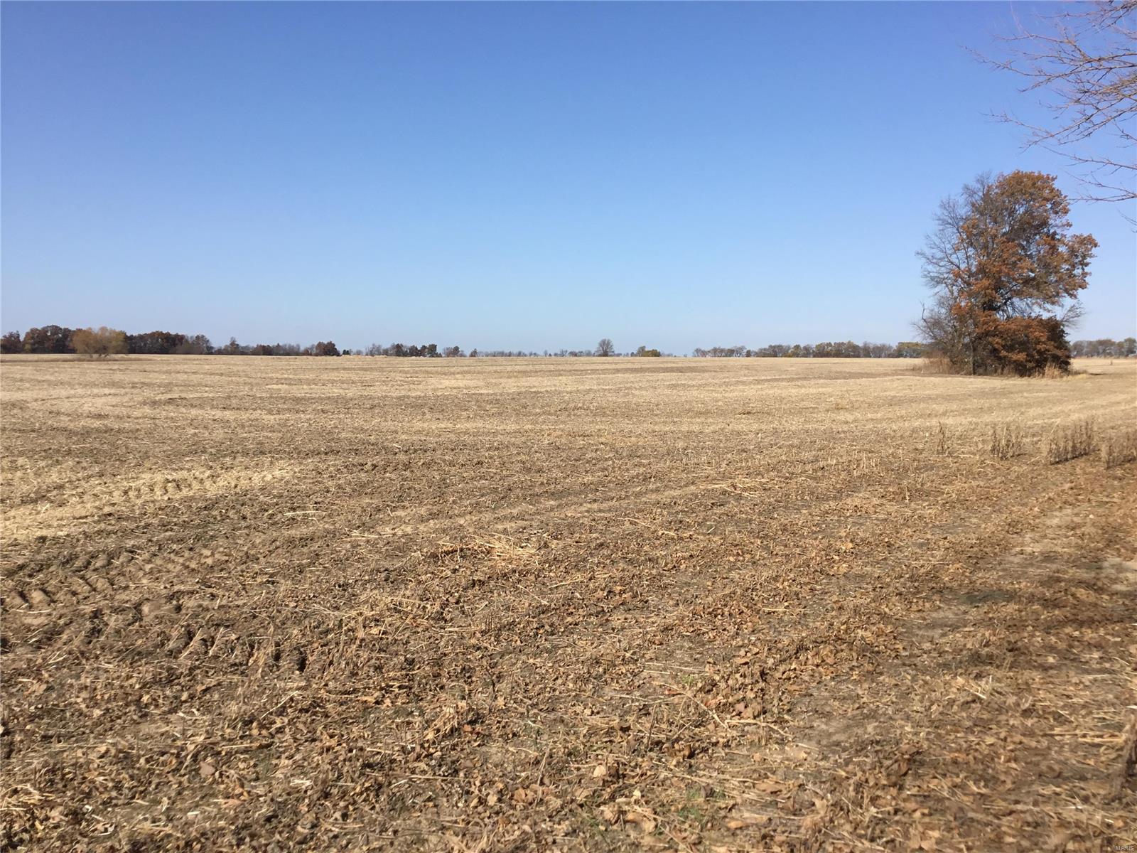 Rural - Farm