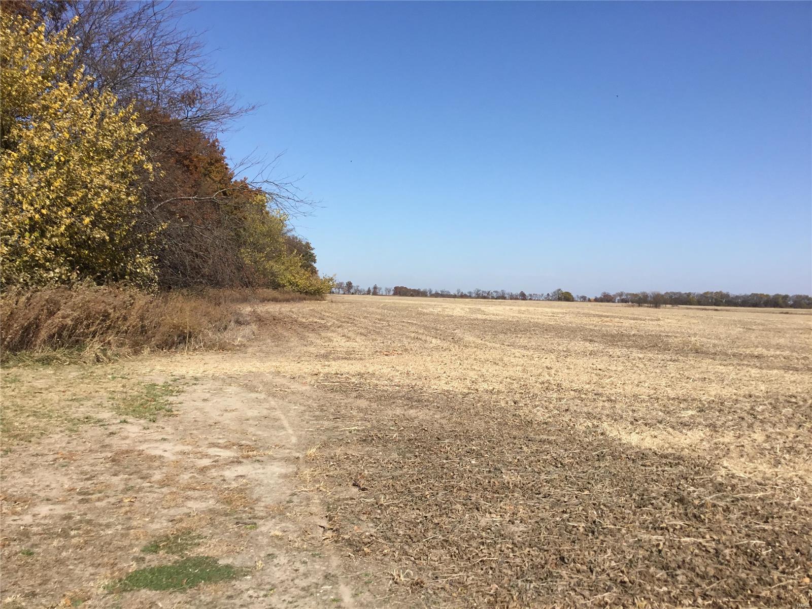 Rural - Farm