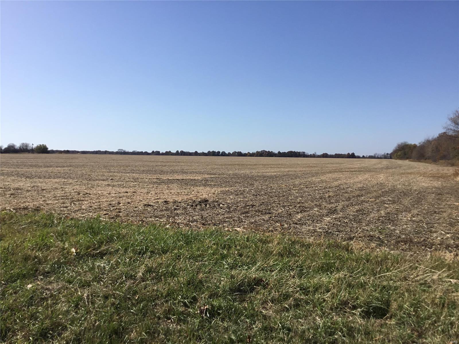 Rural - Farm