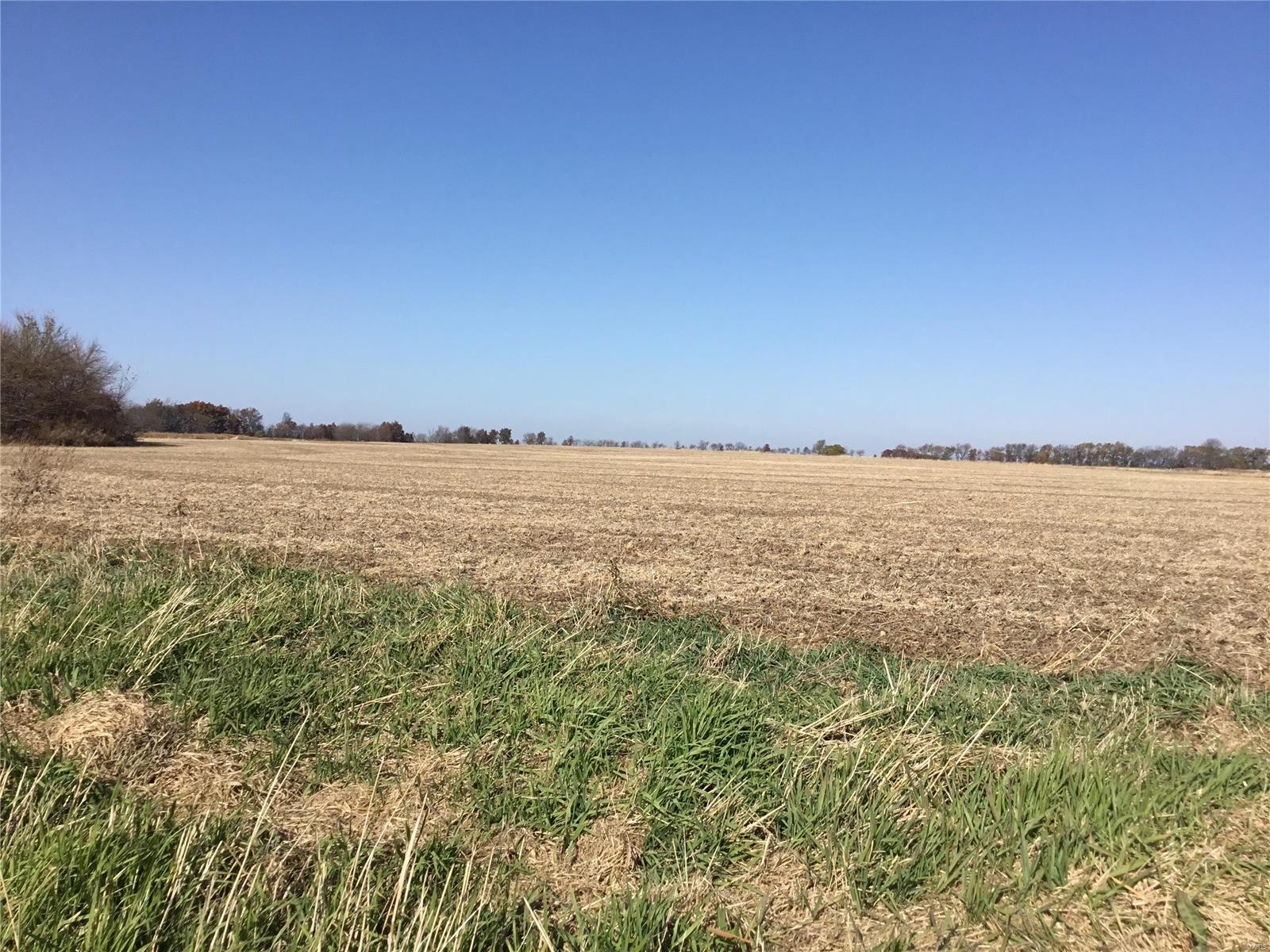 Rural - Farm