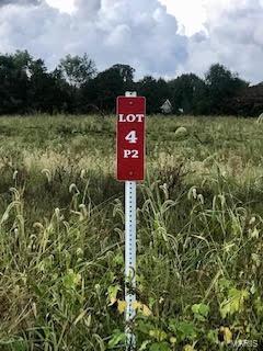Build your dream home on this gorgeous 5+ acre lot in the highly sought-after wine country of Franklin County. This lot is cleared and would suite a side walk out basement. A creek runs through the front corner and there is a row of trees along the back of the lot. Washington School District. Buy now and build later or start putting your building plans together today! Additional Rooms: In Platted Subdv.