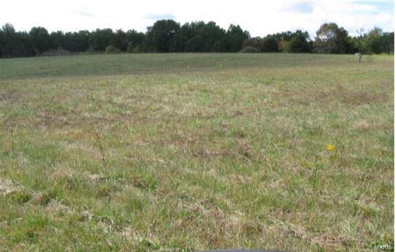 Beautiful open acreage, great for building your new custom home! Plenty of room for recreation or horses!  Located on blacktop road with frontage on two sides. Nice corner lot with easy access, just off Old Hwy 61 and Davis Road. Some restrictions apply for subdivision such as square foot minimums.