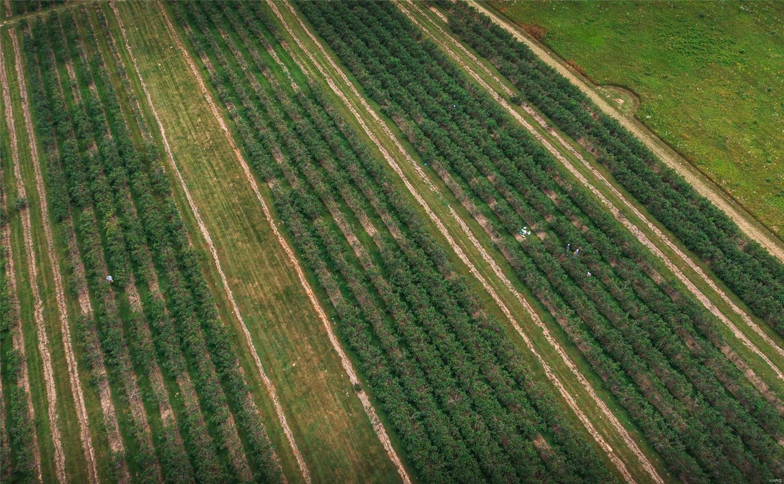 N/A - Farm