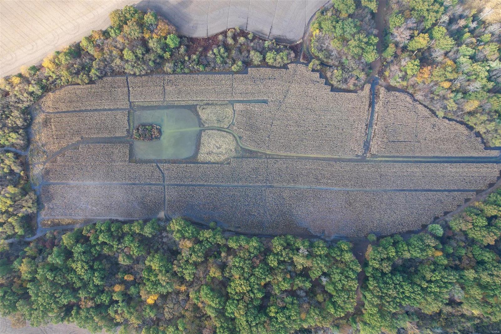 - - Farm