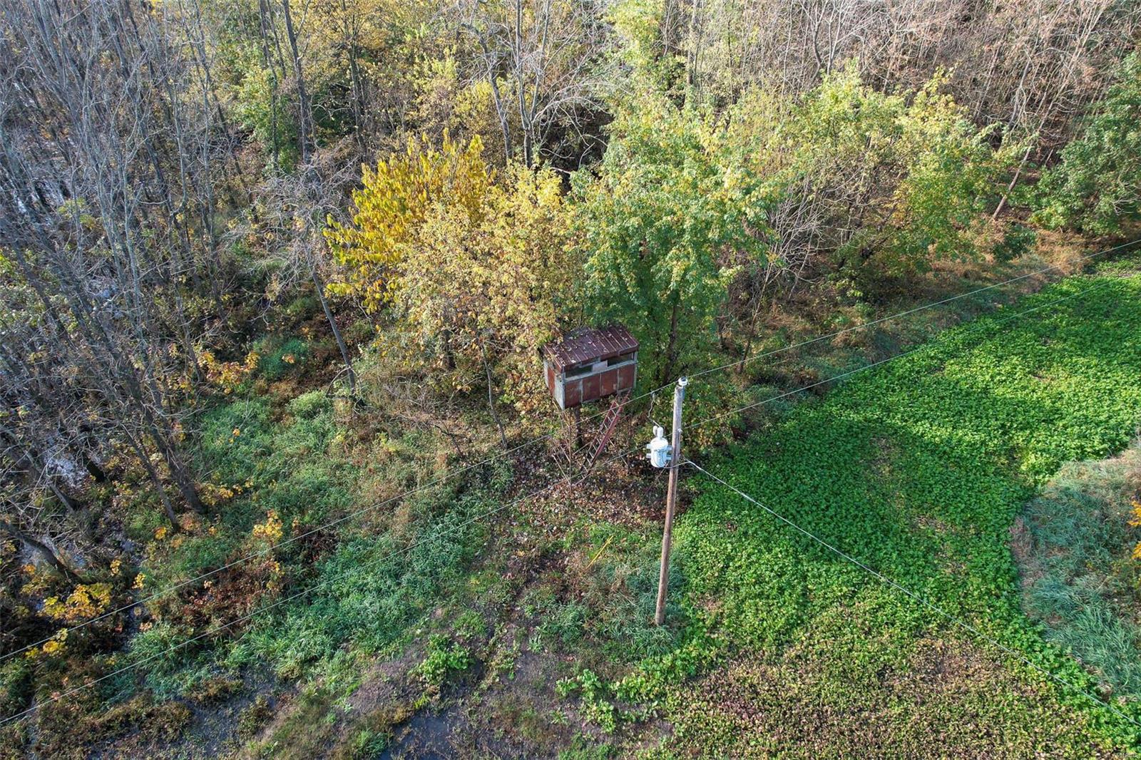 - - Farm
