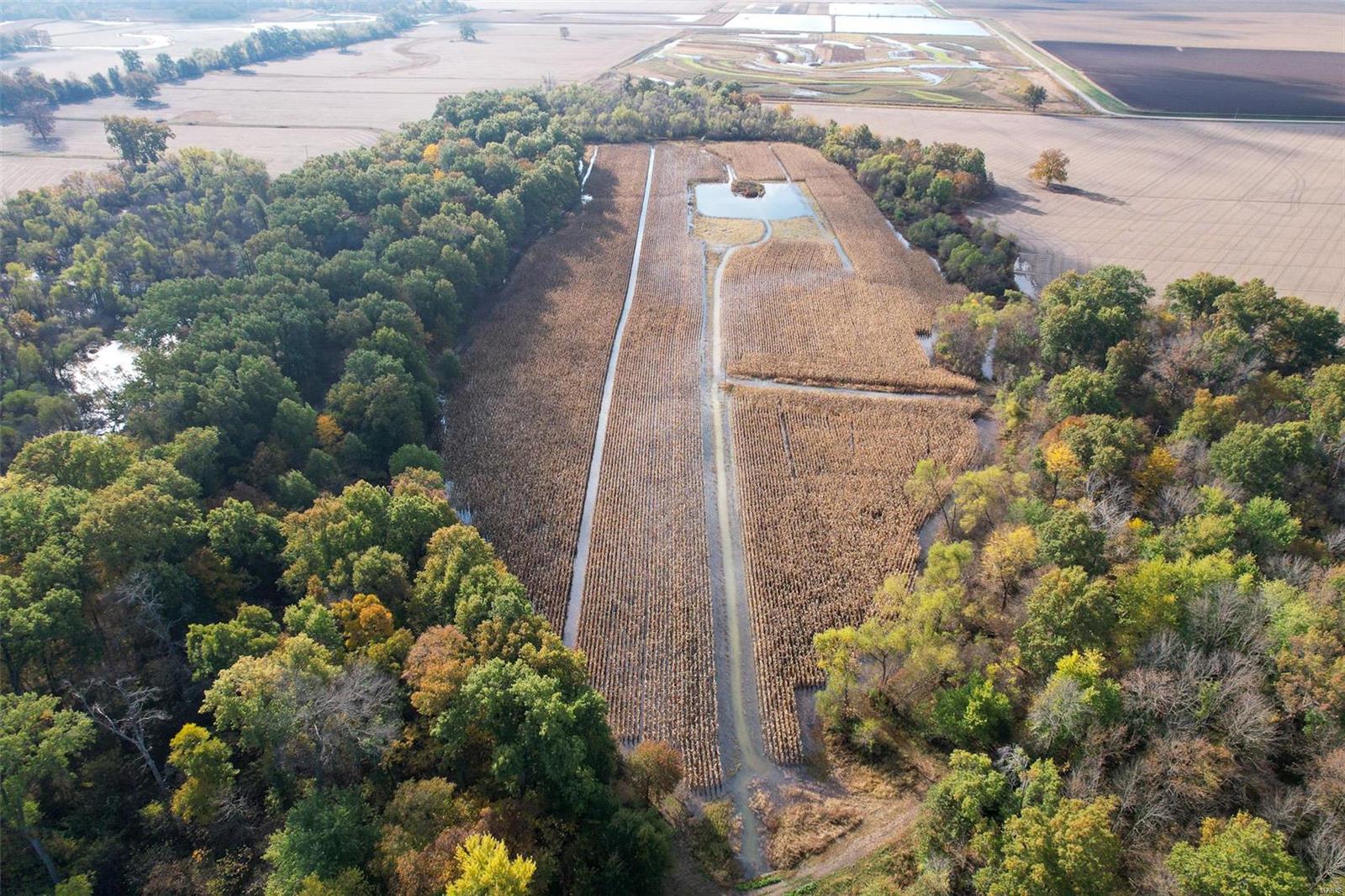 - - Farm