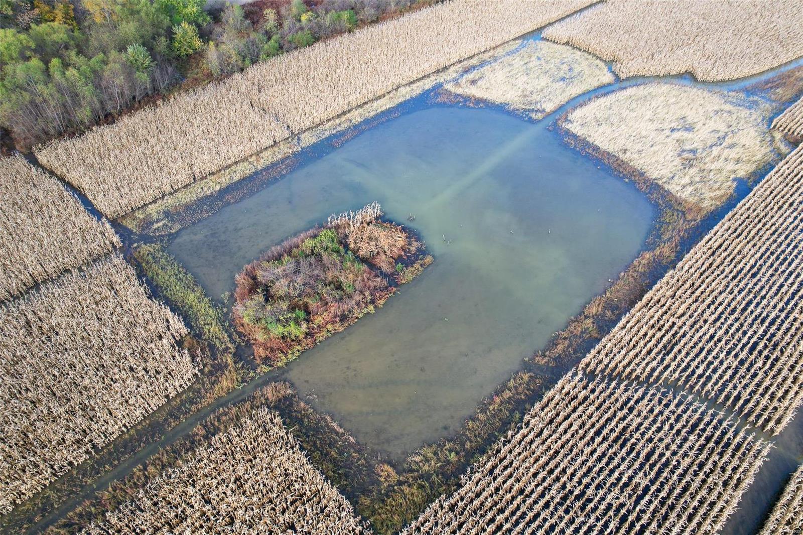 - - Farm