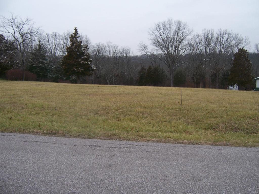 Hillsboro Schools. Excellent building site in Hillsboro School District. Very close to State highway. Lot level at road. Gently slopes for a walkout basement.