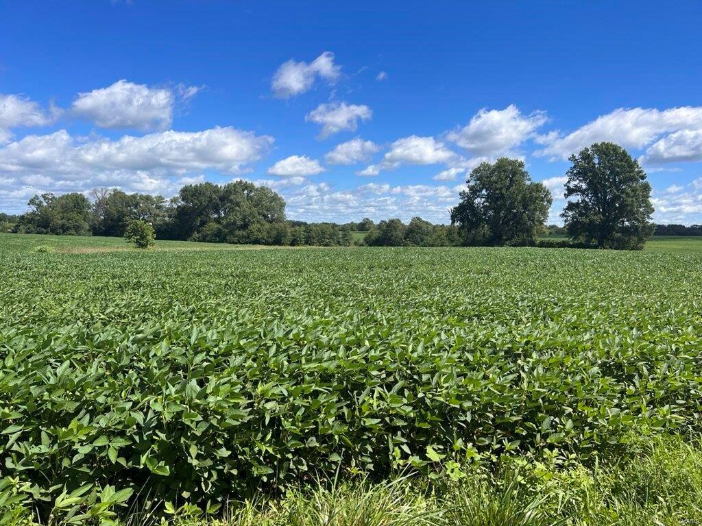 n/a - Farm