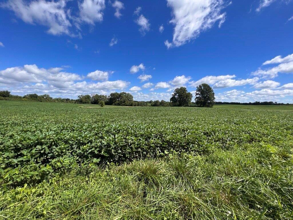 n/a - Farm