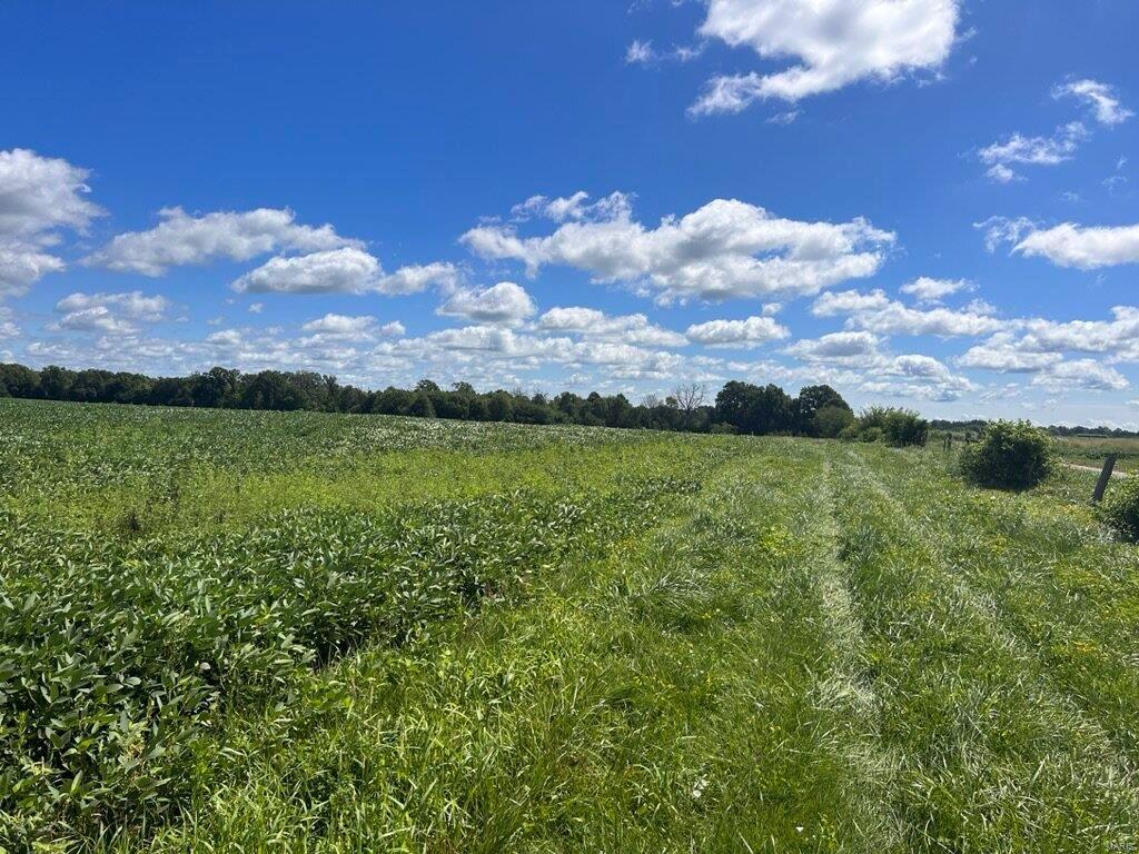 n/a - Farm