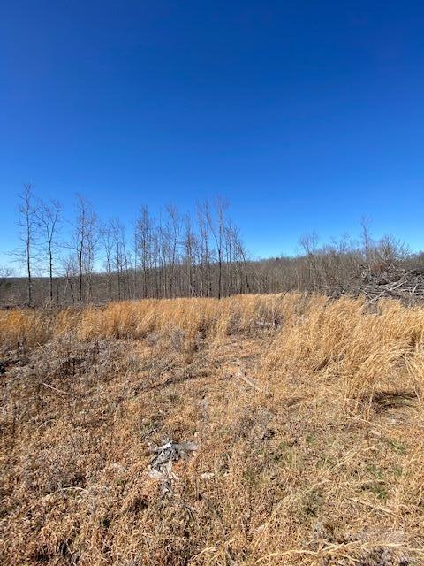 50 acres m/l with about 5 acres cleared for a home. Off blacktop in Texas County, MO. This property is 5 miles outside of Mtn. View, MO and in the Mtn. View/Birch Tree school district. No restrictions. Great building site with excellent view of surrounding hills.