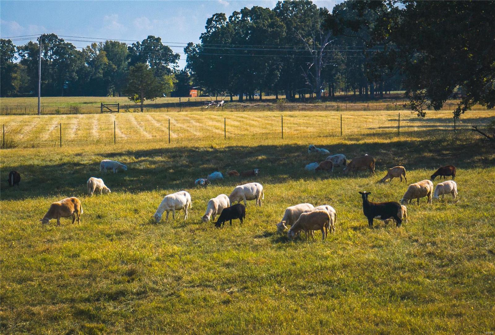 NA - Farm