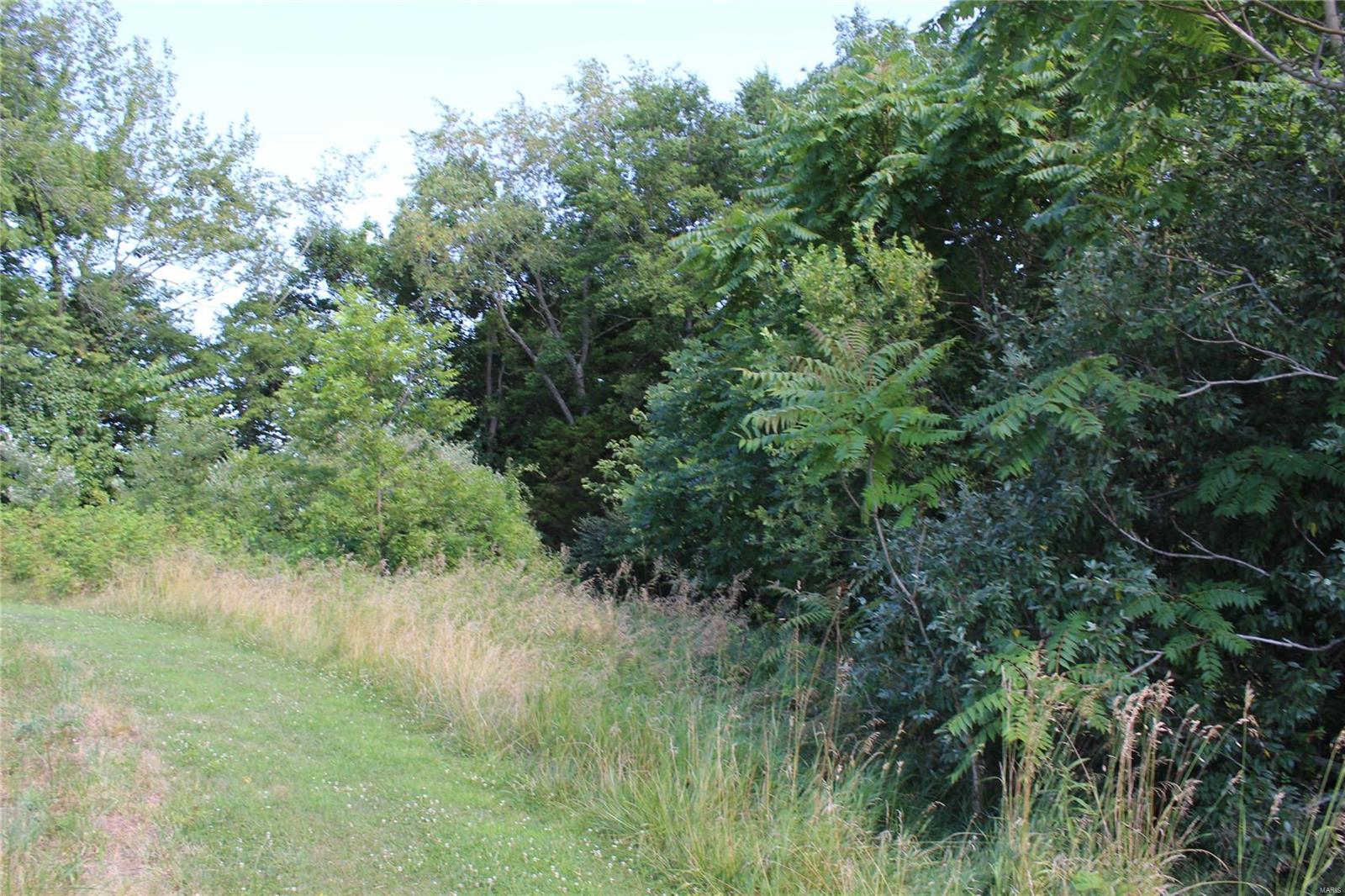 Privacy Awaits You at this 3 Acre Lot nestled in the heart of August Wine Country! Less than a 1/4 Mile off Hwy 94 in Dutzow MO, you'll find Churchview Estates, which is a small subdivision with just 5 lots. Tucked off the main road, you wouldn't know you had any neighbors. Slightly sloping from the road access to Hwy 94, creating a wonderful building site. Look today!