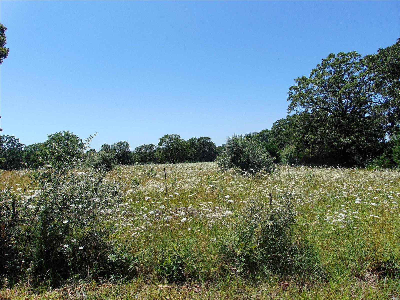 Build your dream home on this beautiful property located conveniently off of 63 N near Rolla. Peaceful setting with several possible building sites. Abundant wildlife and hunting possibilities,  plenty of room for horses, cattle and other livestock.  Two sides bordered by paved road. Gently rolling hills, pasture, and scattered timber and a large pond make this property a must see!