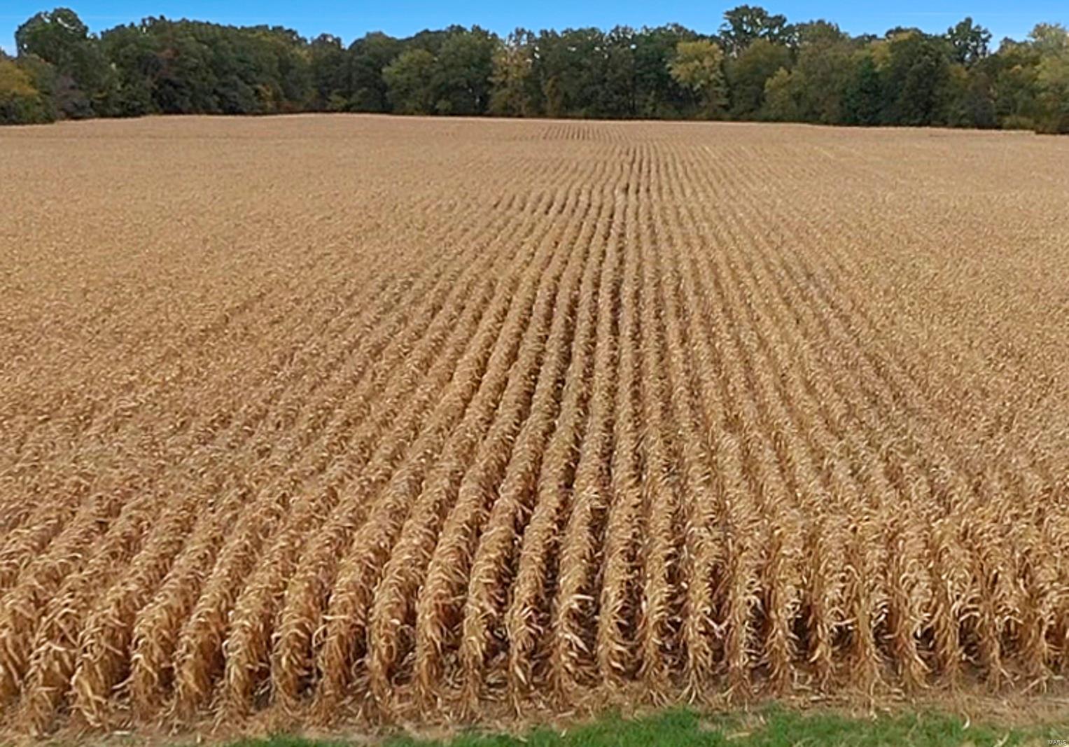na - Farm
