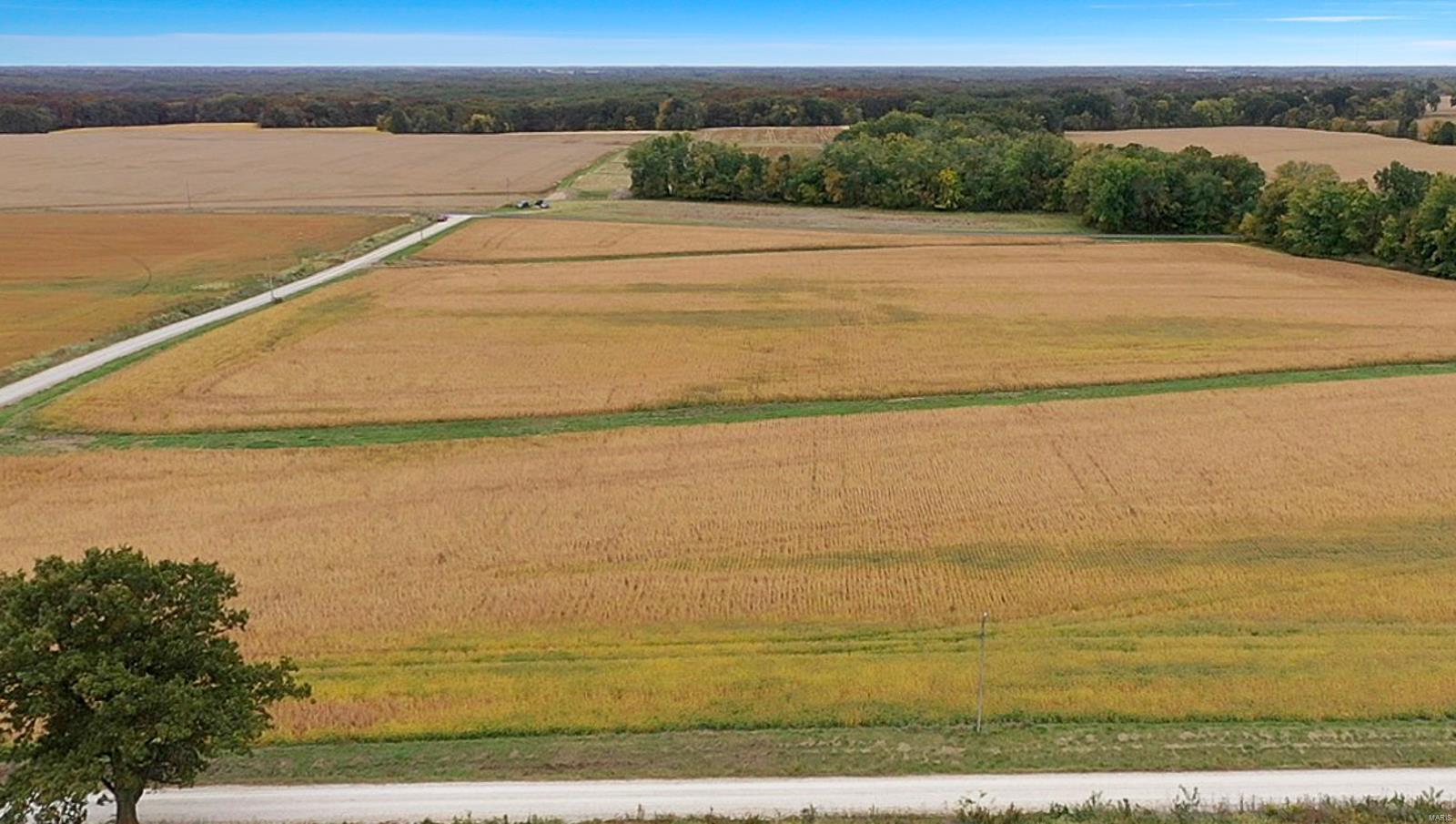 The Perfect Country Retreat approx. an Hour from St. Louis. 235 Acre Legacy Farm in Eastern Montgomery County near Bellflower, MO. Ideal for a peaceful, private, and quiet lifestyle. Nature’s retreat for wildlife, camping, and enjoying the changing seasons. The Farm also has beautiful lake sites and home sites. An investment with so many lifestyle benefits and an income now. Most of all, breathing space for family and friends! 122 Ac of Timber, Waterways, and Draws, and 113 Ac of silt loam soils. Share cropped for many years and managed well with established yield history. Tremendous Hunting & Recreation opportunities. There are scattered woods throughout the farm leading to an expansive tract of timber known for holding Trophy Bucks and Turkeys. This Ideal Farm Has It All. Income, Hunting & Recreation, State Hwy Rd Frontage, and Potential Lake Site. Easy drive from St. Louis Metro Area, only 15 miles North of Jonesburg at I-70. The Perfect Property; Good for Generations to Come.