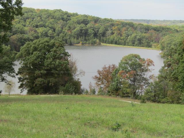 Lakefront Lot! 2.68 Acres in Lone Tree Lake Estates boasting a beautiful 22 acre stocked lake to enjoy fishing, swimming and boating. Excellent building site for your dream home or weekend cabin. Some restrictions to protect property value. Also features a park area for the use of all owners with swim deck, sand beach, swimming area and pavilion. Additional Rooms: Other
