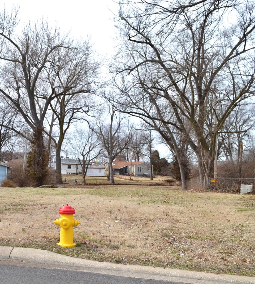 Vacant +/- .329 acre Single Family Residential Home Lot On Cut-De-Sac In Saint Ann / Pattonville School District. Some Utilities Already On Site From The Old House That Was Torn Down. Large Lot - Build Your Dream Home In This Great Location! No Hotel Use Allowed Per Deed Restriction. Additional Rooms: In Platted Subdv.