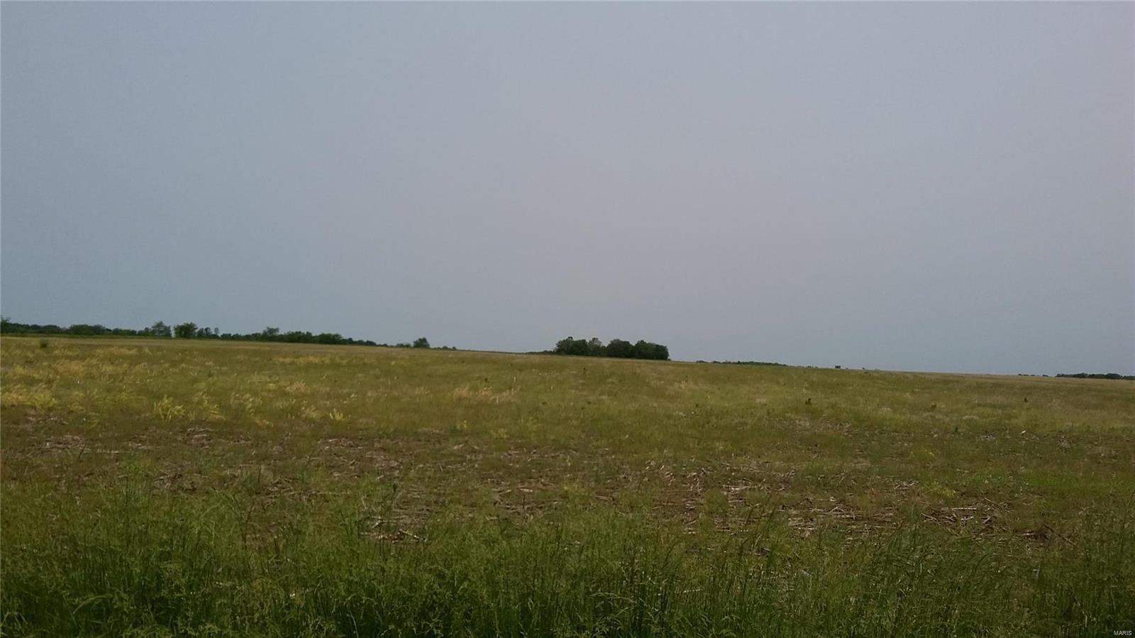 none - Farm