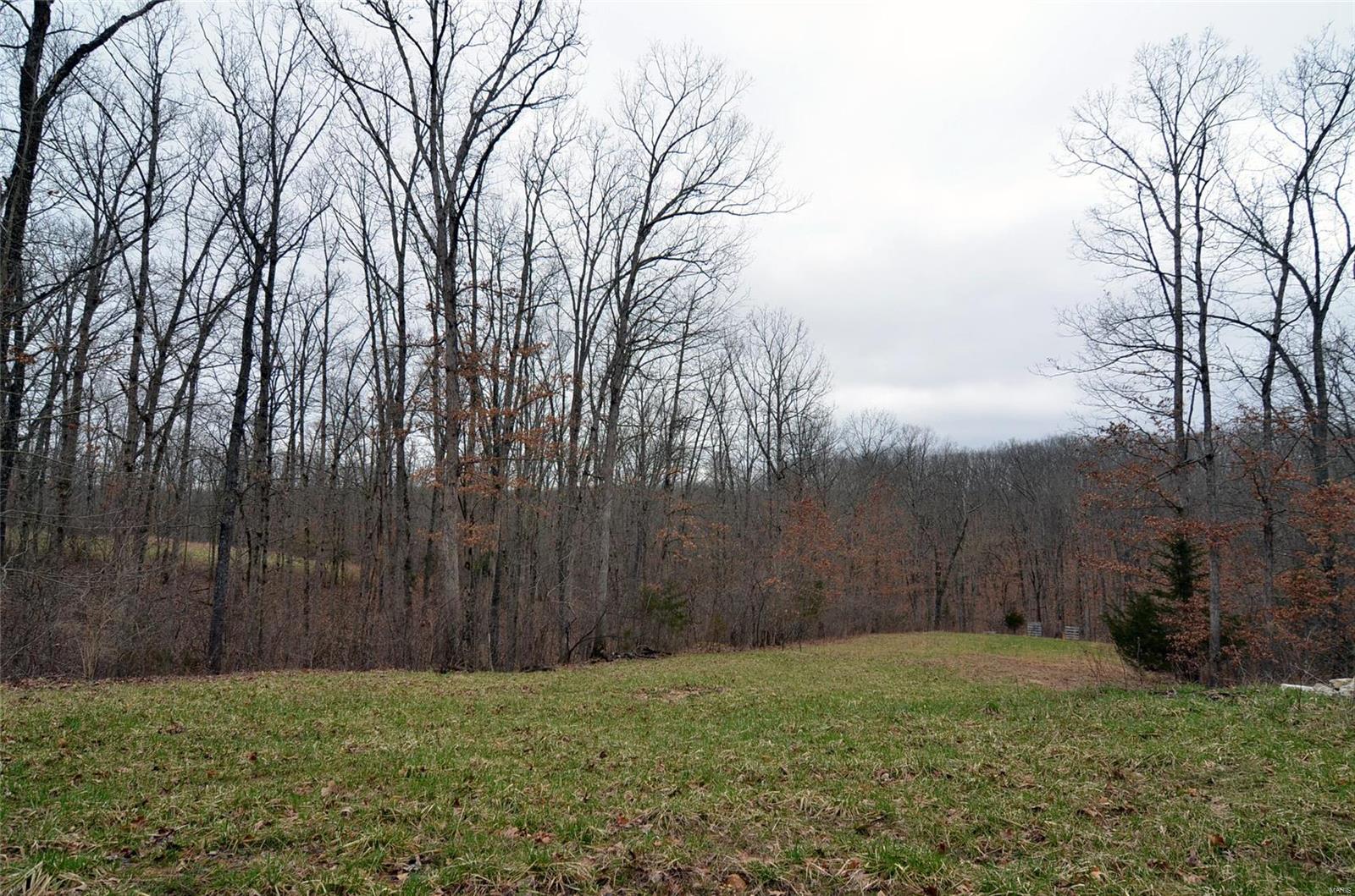 Amazing 10.680 acres in Warrenton mostly wooded with a clearing for homesites. This lot can be kept as one or broken down into 3 different pieces of property. Great location near the highway and only 1 hour from St. Louis.  Other amenities include creek, two gravel driveways, phone, and electric 2 sites with separate meters. This property also has a 30x40 steel shed with electricity.