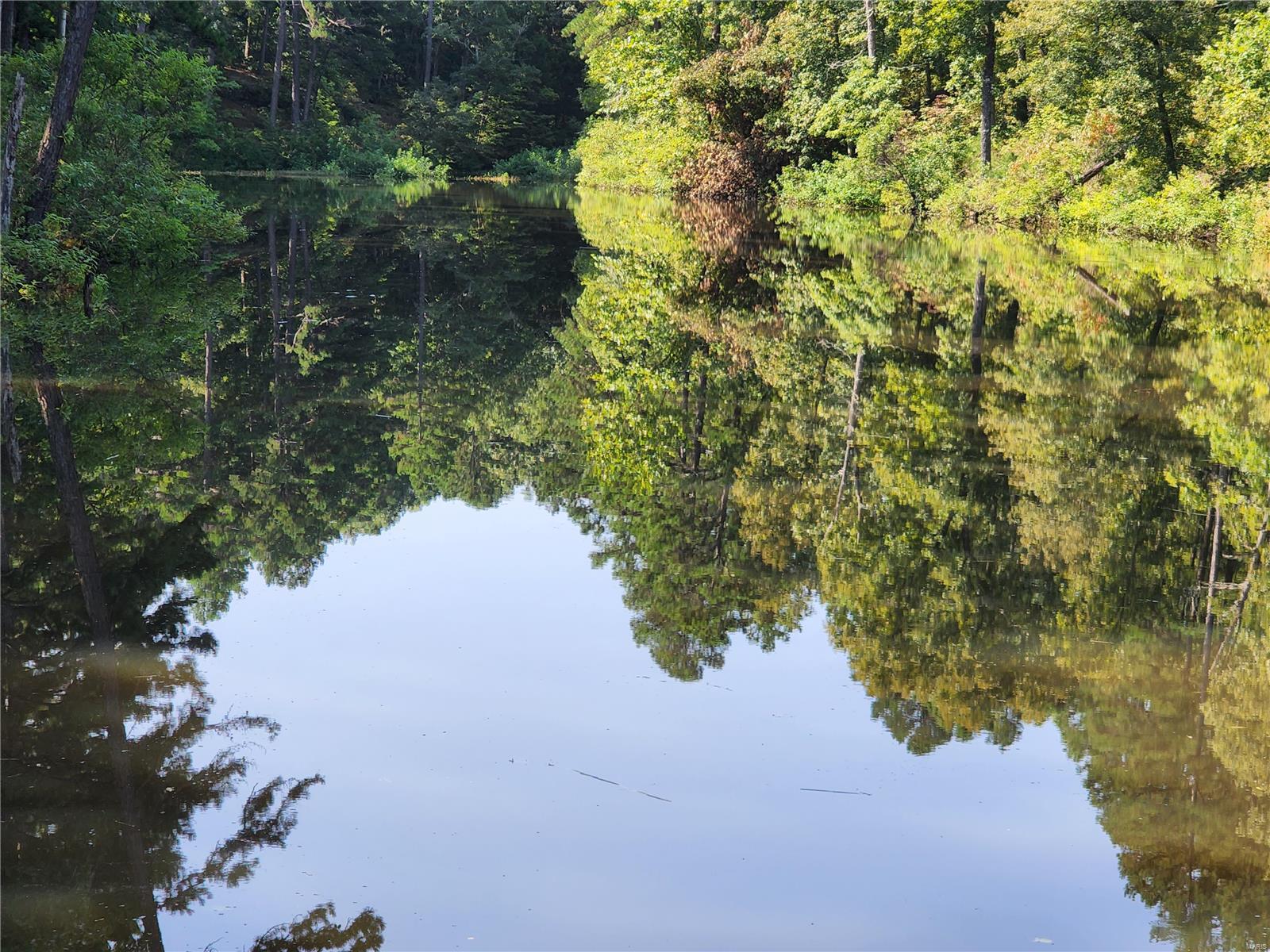 Paddlewheel LLC offers 376.3 acres m/l of a managed Tree Farm. Park like setting as you enter the gates down drive lined by a thick pine forest. Portions of the property are contiguous to thousands of acres of USA Land. Resources of pine, hardwoods, lake, springs, streams, ATV trails, as well as fishing, turkey and whitetail trophy hunting make for total outdoor enjoyment. Big Paddy Creek, Brushy Creek frontage, 3 to 4 ac m/l spring-fed lake with dam, seasonal waterfall. 4 Br, 3 Ba, native stone/wood burning fireplace, 1.5 story, two car/carport, deck, home #2 -3 Br, 2 Ba, carport, building built for health club, Br, 3 Ba, kitchen, total of 3750 sq. ft. m/l, deck. Shop/concrete/elec., 40'x70' w/ 18'x70' side shed, overhead door, other outbuildings. Family cemetery ingress/egress, Located in the Ozarks, could be your private retreat/family compound. Close to major floating rivers, State Park trout fishing. Back on the market at no fault of the property. Let's LOOK.