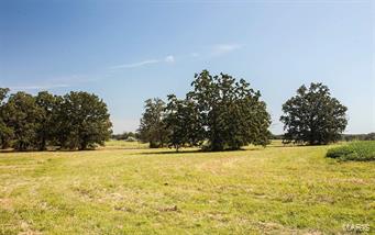 UNK - Farm