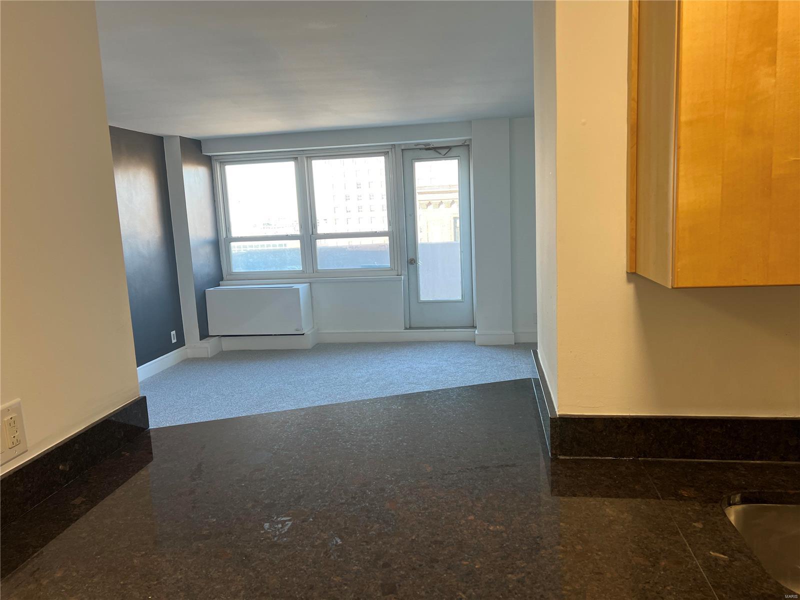 Blu Condo - Residential Lease