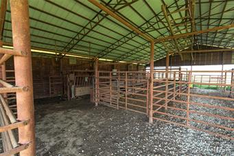 N/A - Farm